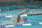 Swimming vs Bentley  Wheaton College Swimming vs Bentley. - Photo By: KEITH NORDSTROM : Wheaton, Swimming, Bentley